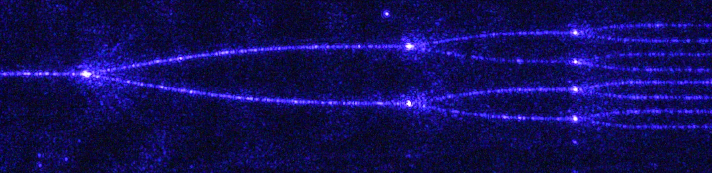 Blue laser light propagating through branching photonic waveguides