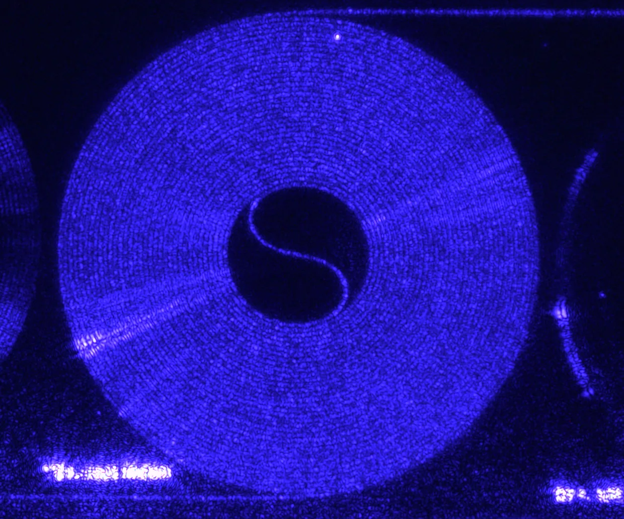 Blue laser light scattering from a spiral photonic waveguide